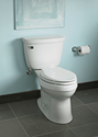 Picture of WaterSense Toilets 